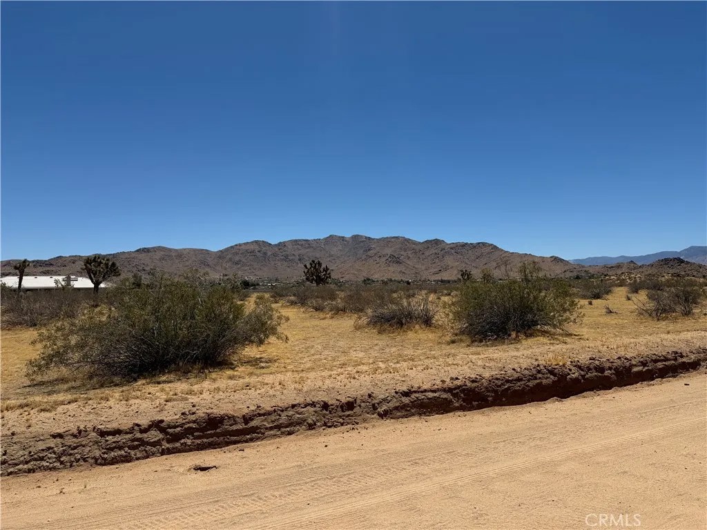 4362025 Rocky Point