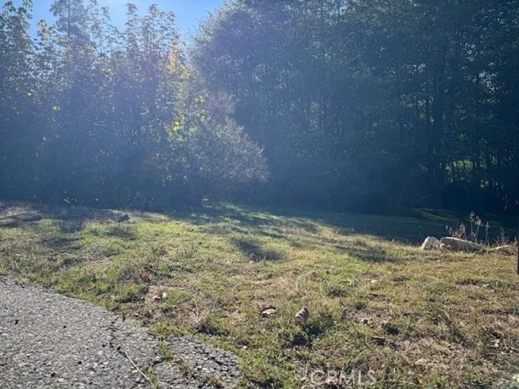 Photo of 430 Alder Ln, Cedar Glen, CA 92321 (MLS # CV25247185)
