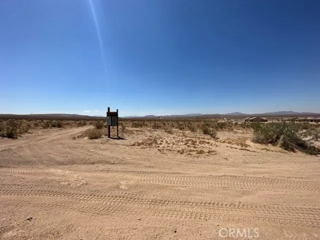 0 Tortoise