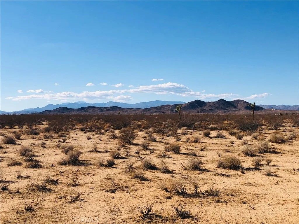 Photo of 2 Venus, Joshua Tree, CA 92252 (MLS # JT26017898)