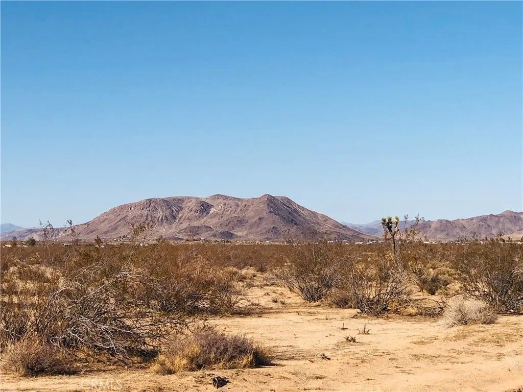 Photo of 2 Venus, Joshua Tree, CA 92252 (MLS # JT26017898)