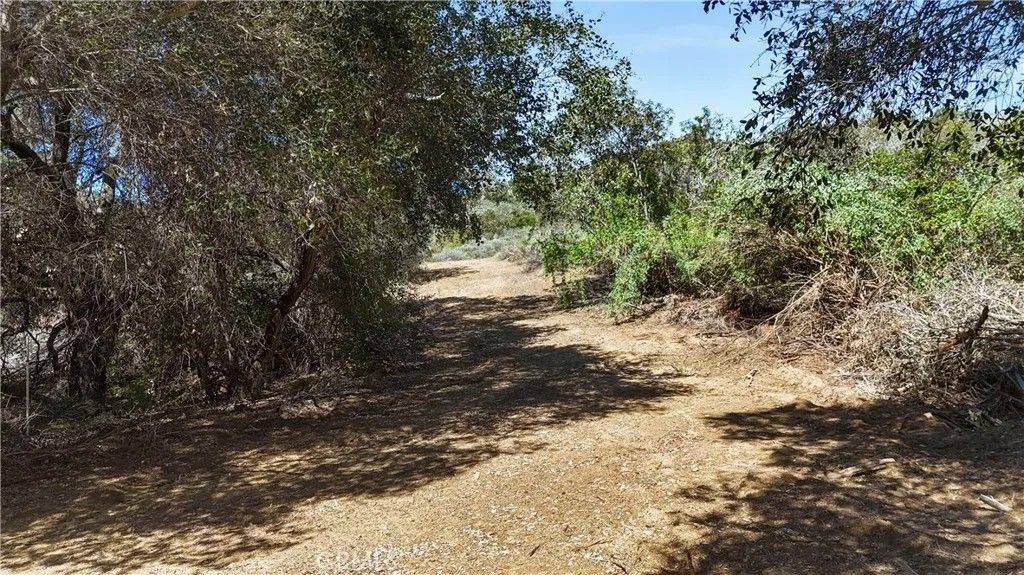 Photo of 45025 Via Tornado, Temecula, CA 92590 (MLS # SW26045231)