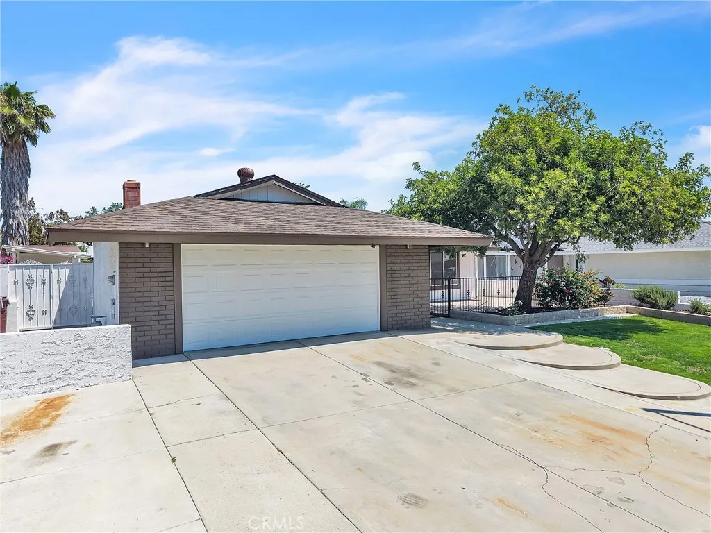 24928 Basswood
