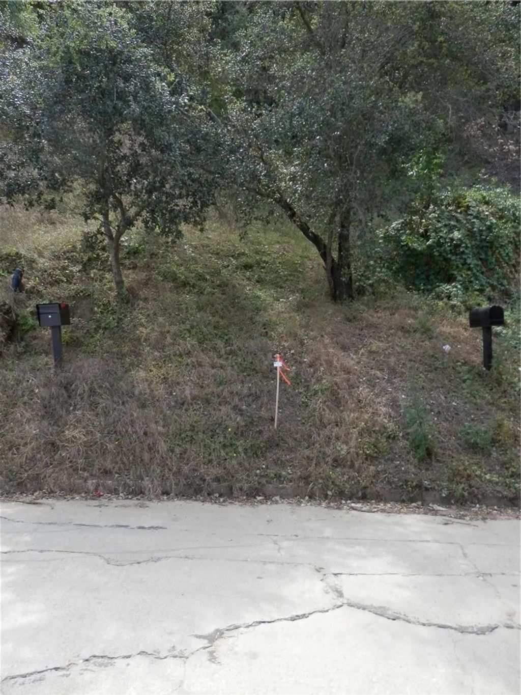 Photo of 0 Wildwood, Los Angeles, CA 90041 (MLS # PW26088327)