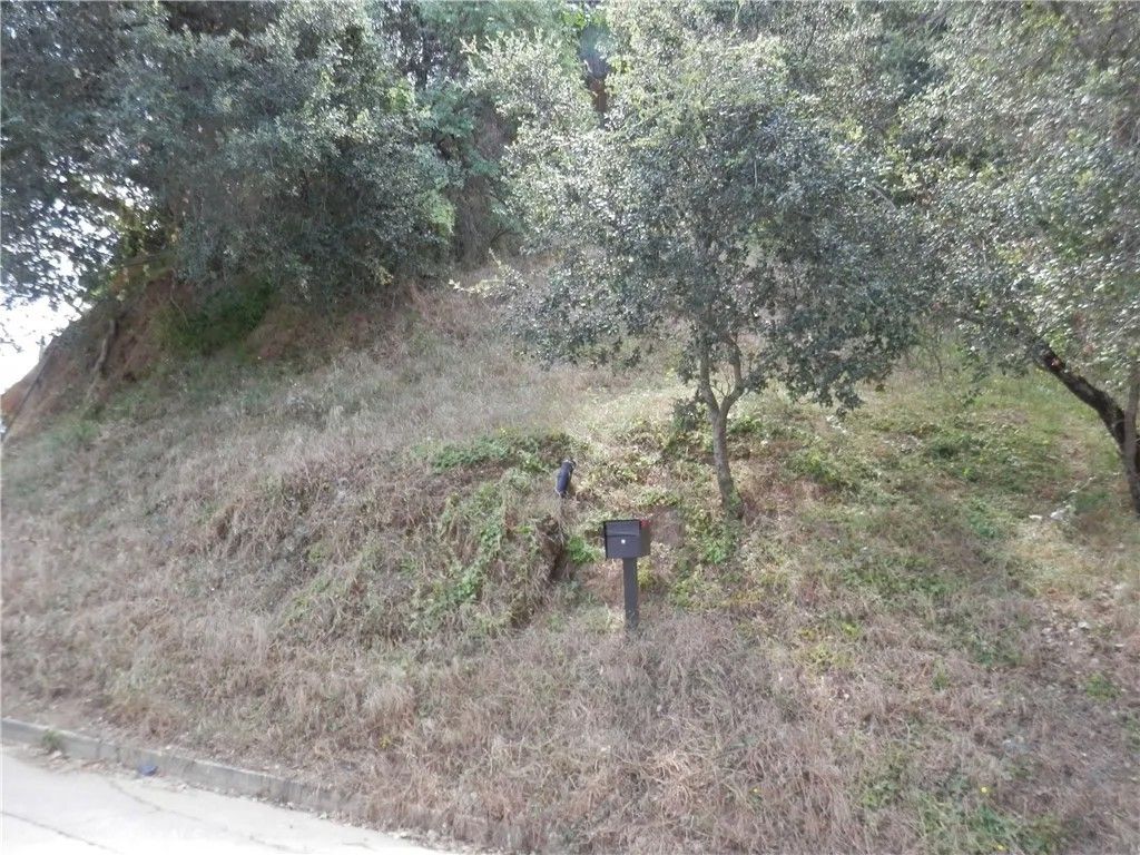 Photo of 0 Wildwood, Los Angeles, CA 90041 (MLS # PW26088327)