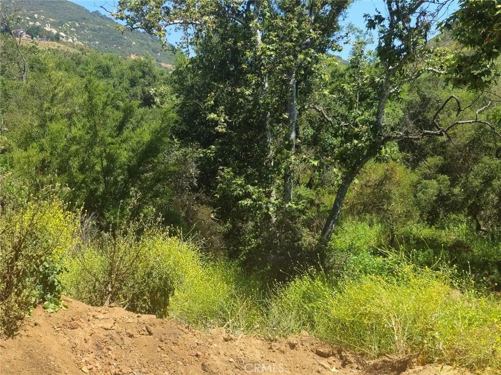 Photo of 0 Sombrero, Fallbrook, CA 92028 (MLS # SB24124742)