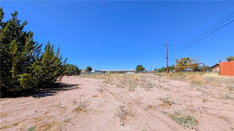 16288 Yucca