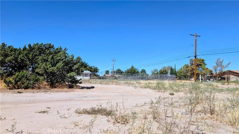 16288 Yucca