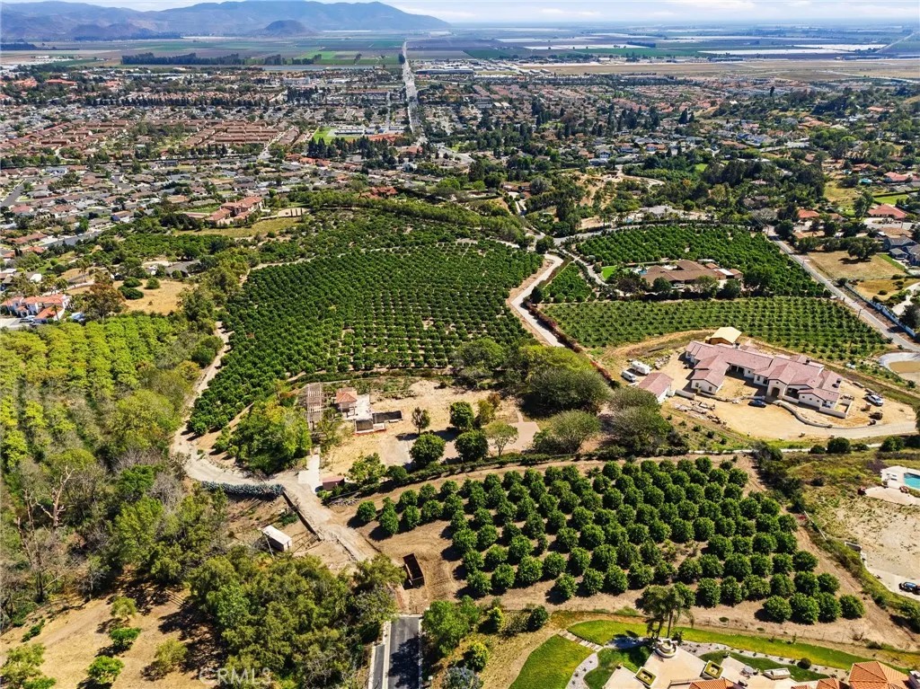 25 Encino