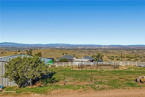 Tiny photo for 1836 Carson Mesa, Palmdale, CA 93550 (MLS # SR25273024)