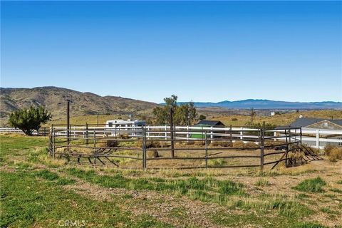 Tiny photo for 1836 Carson Mesa, Palmdale, CA 93550 (MLS # SR25273024)