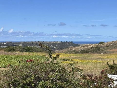 Photo of 4863 Marathon Way, Oceanside, CA 92054 (MLS # NDP2604638)