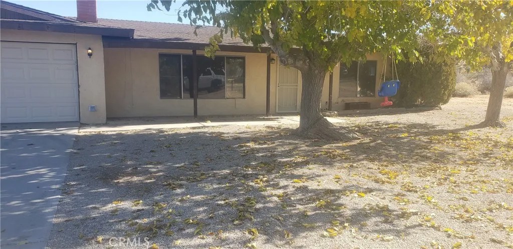 7801 Condalia
