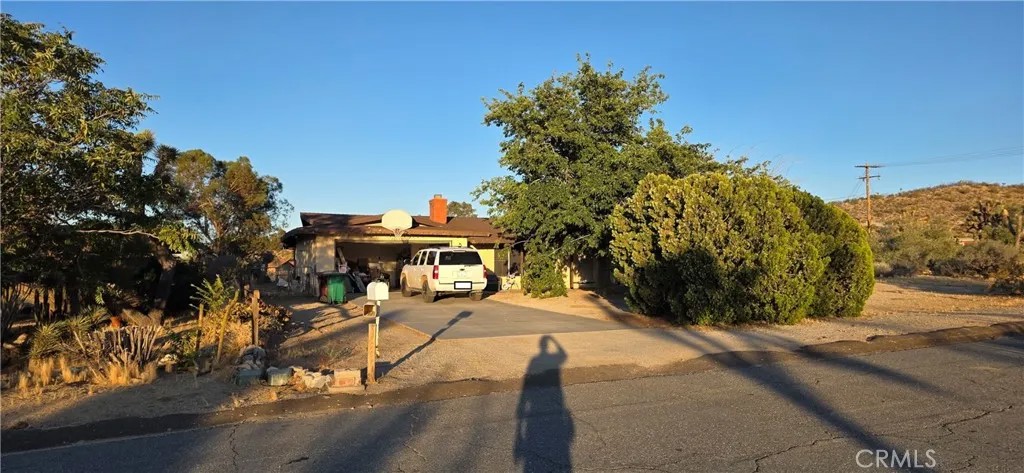 7801 Condalia
