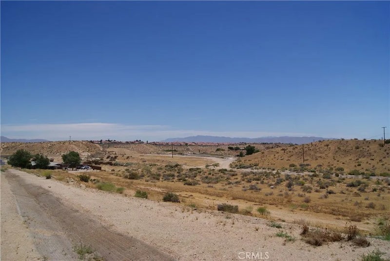 0 9.84 Acres Green Tree