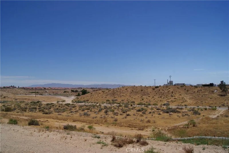 0 9.84 Acres Green Tree