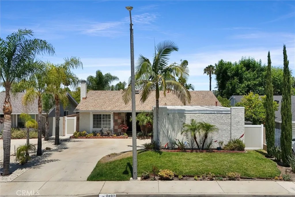 2407 Chapman