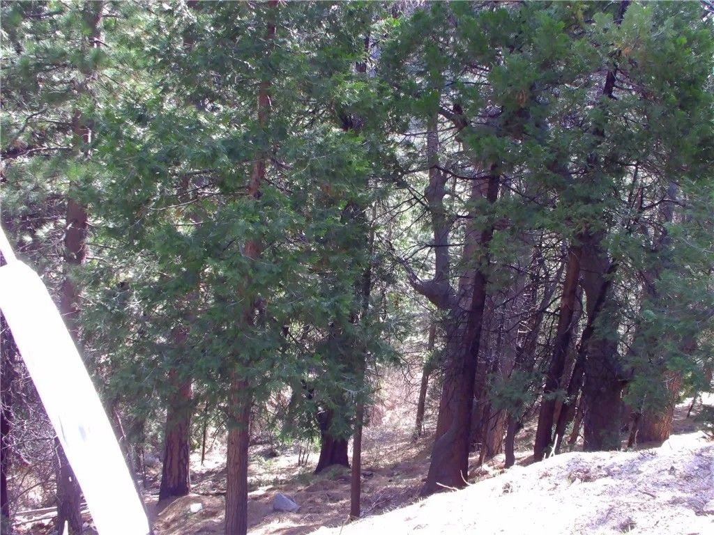 Photo of 2379 Spring Oak, Running Springs, CA 92382 (MLS # IV26062268)