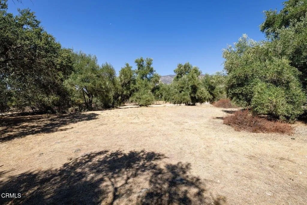 Photo of 0 Calle Moreno, Ojai, CA 93023 (MLS # V1-39539)