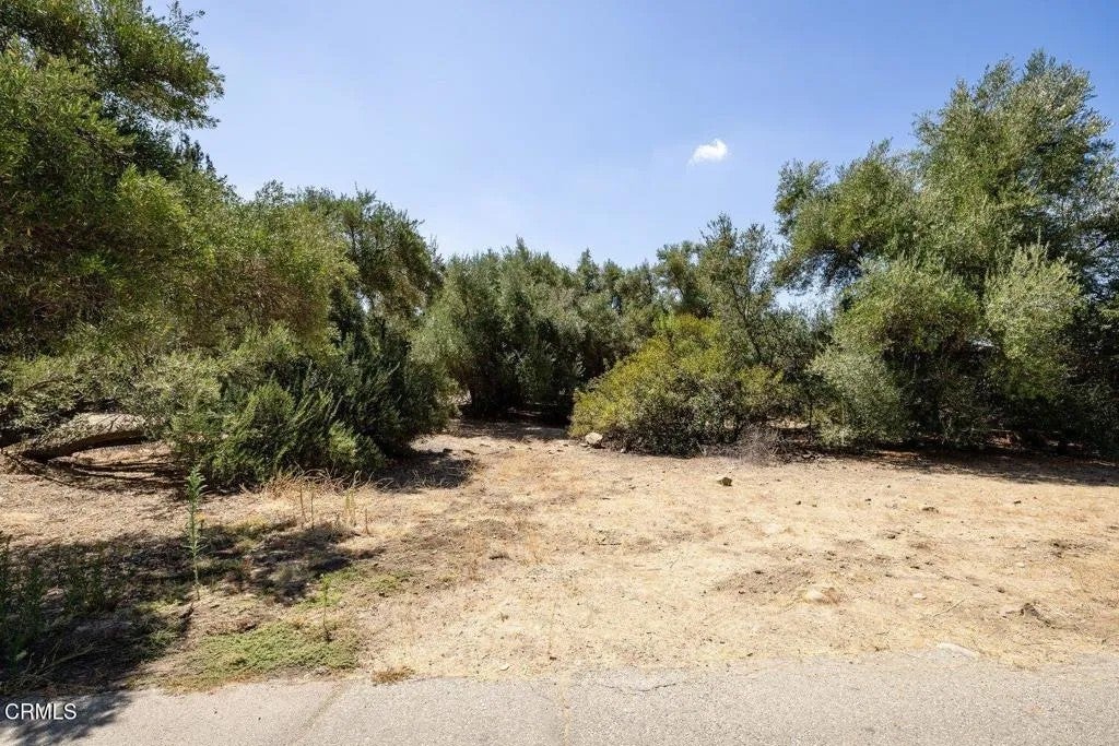Photo of 0 Calle Moreno, Ojai, CA 93023 (MLS # V1-39539)