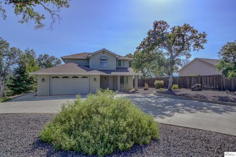 Photo of 21325 Wilcox Road, Red Bluff, CA 96080 (MLS # 20240409)