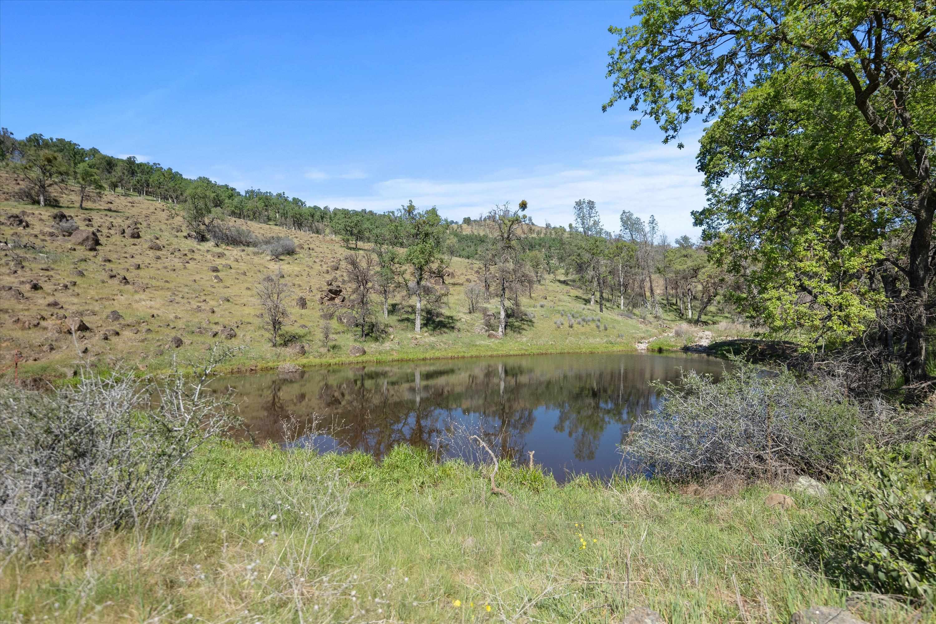 Paynes Creek, California, 96075, United States, 3 Bedrooms Bedrooms, ,2 BathroomsBathrooms,Residential,Active,2031781