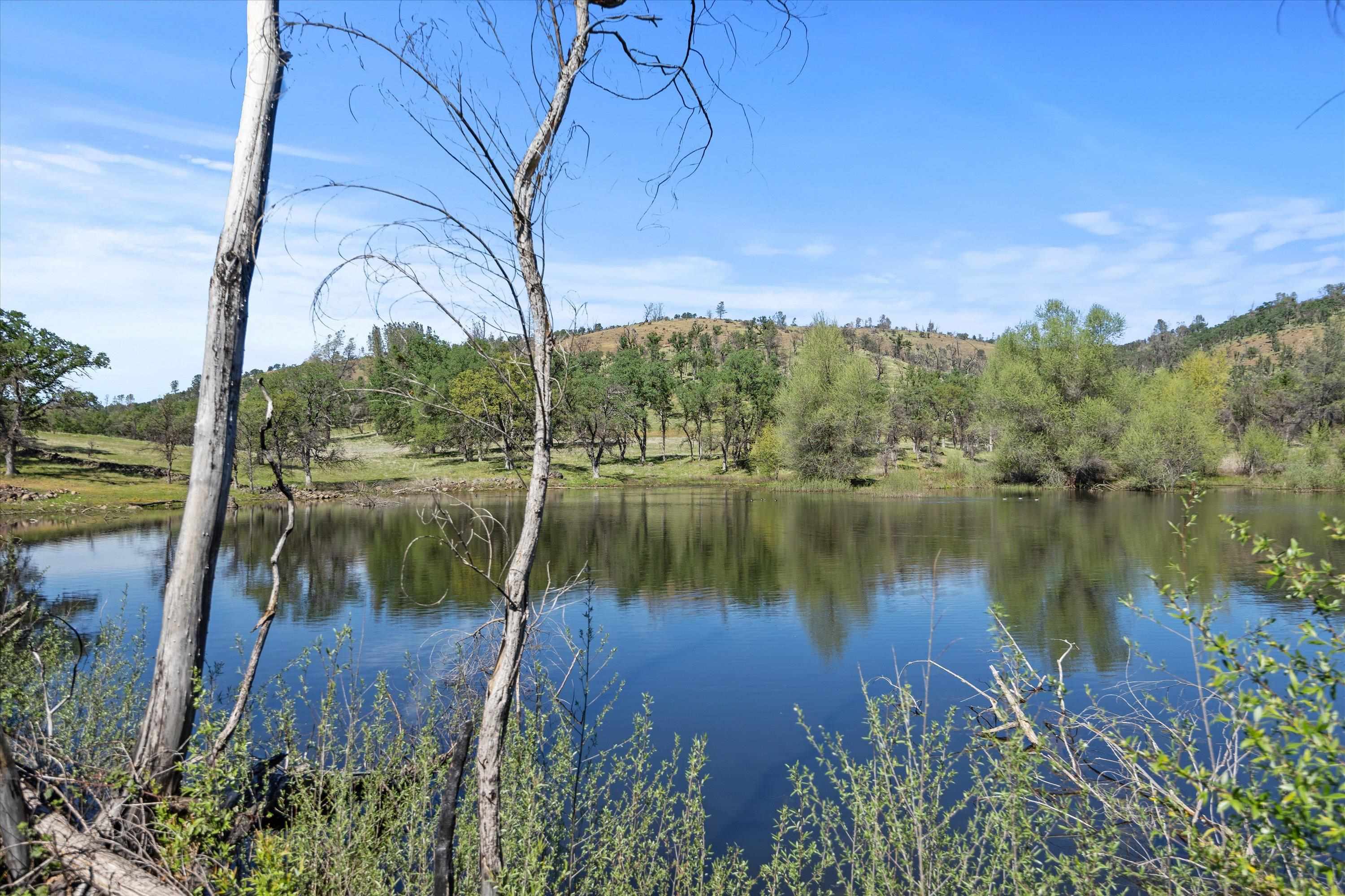 Paynes Creek, California, 96075, United States, 3 Bedrooms Bedrooms, ,2 BathroomsBathrooms,Residential,Active,2031781