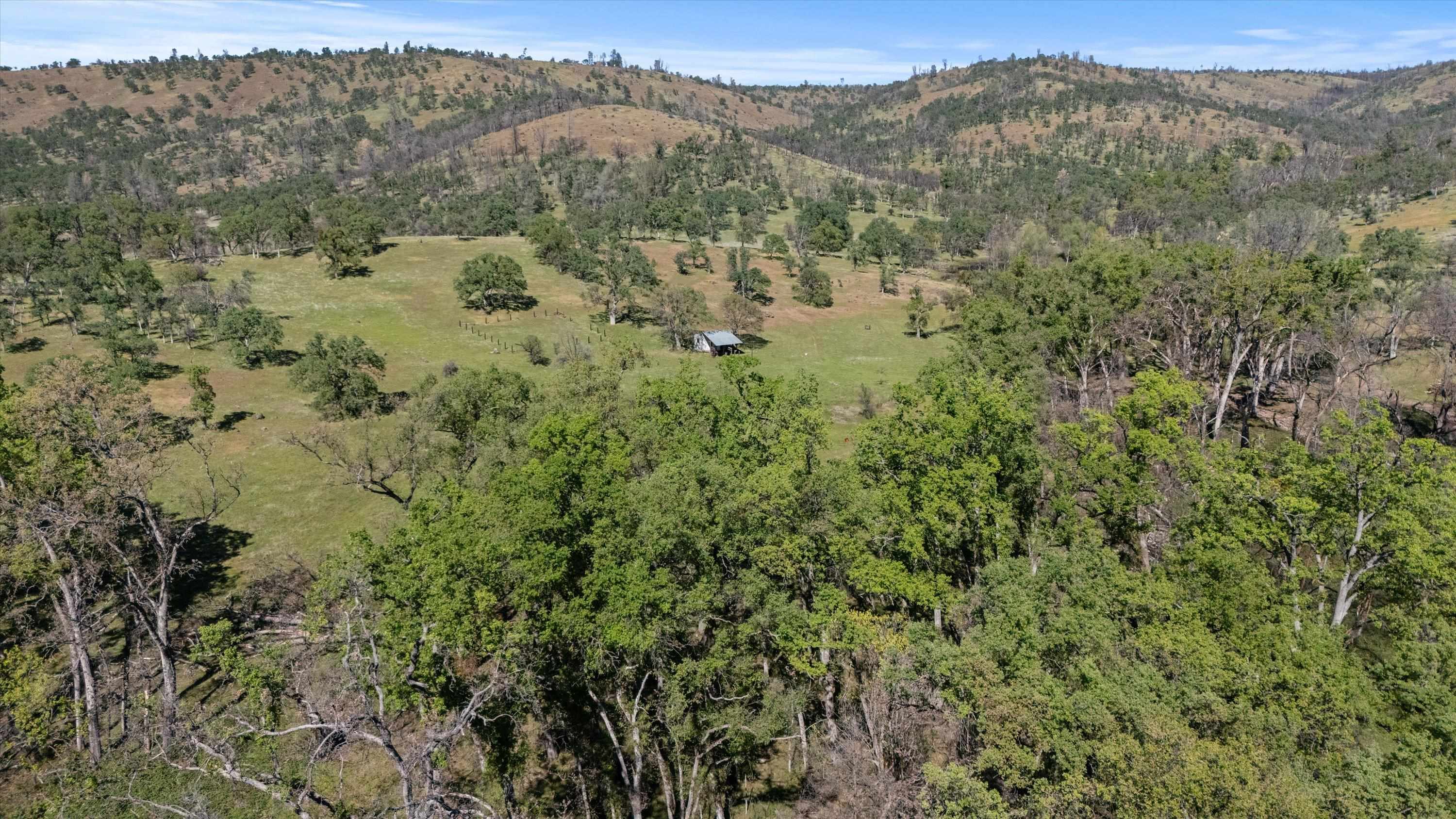 Paynes Creek, California, 96075, United States, 3 Bedrooms Bedrooms, ,2 BathroomsBathrooms,Residential,Active,2031781