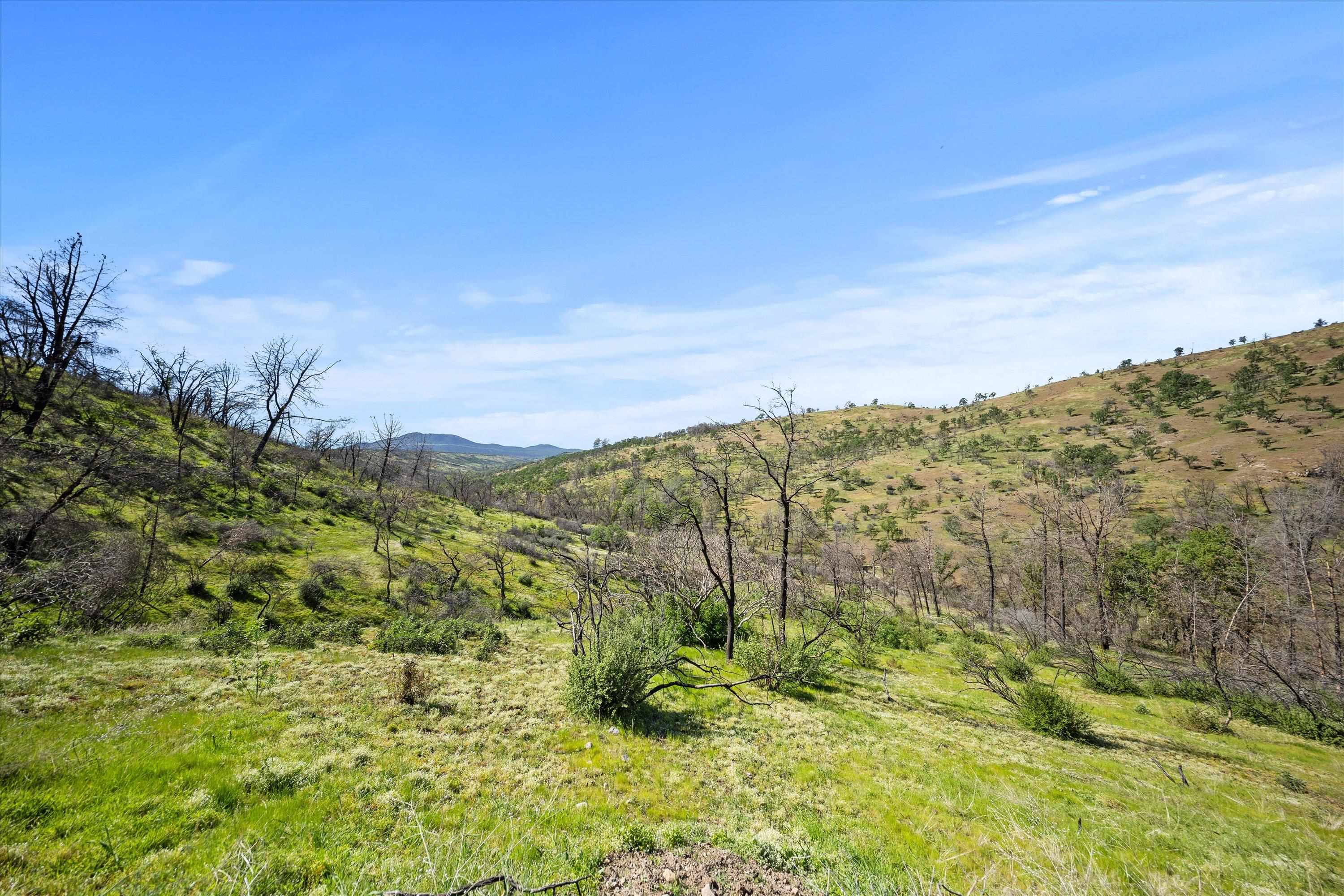 Paynes Creek, California, 96075, United States, 3 Bedrooms Bedrooms, ,2 BathroomsBathrooms,Residential,Active,2031781
