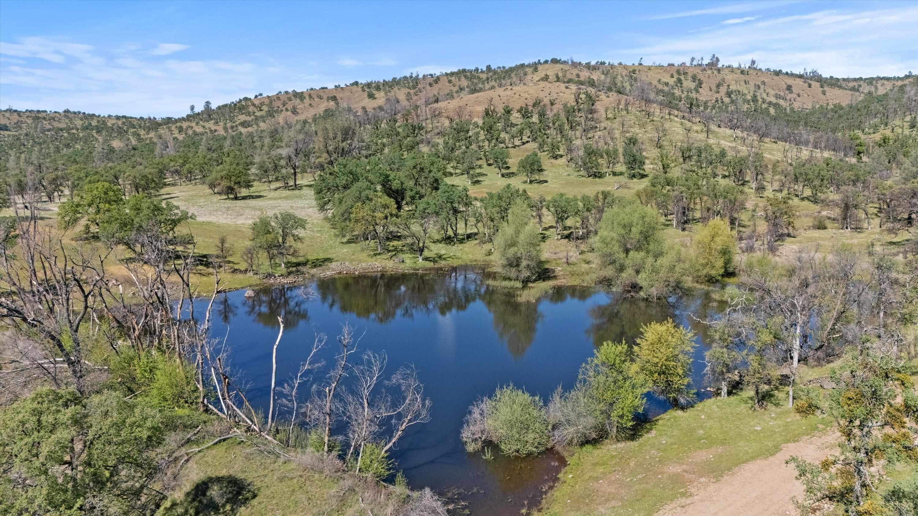 Paynes Creek, California, 96075, United States, 3 Bedrooms Bedrooms, ,2 BathroomsBathrooms,Residential,Active,2031781