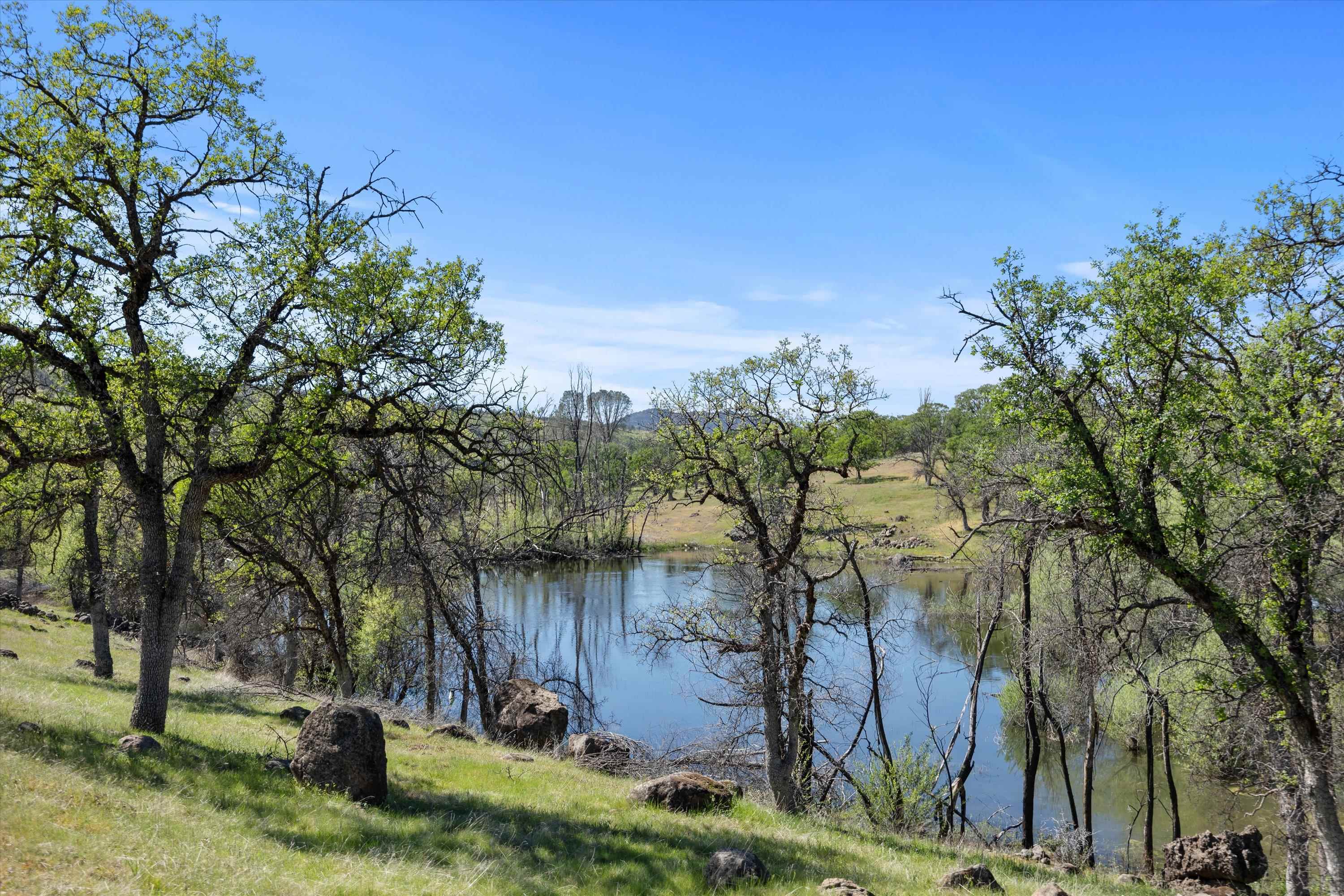 Paynes Creek, California, 96075, United States, 3 Bedrooms Bedrooms, ,2 BathroomsBathrooms,Residential,Active,2031781