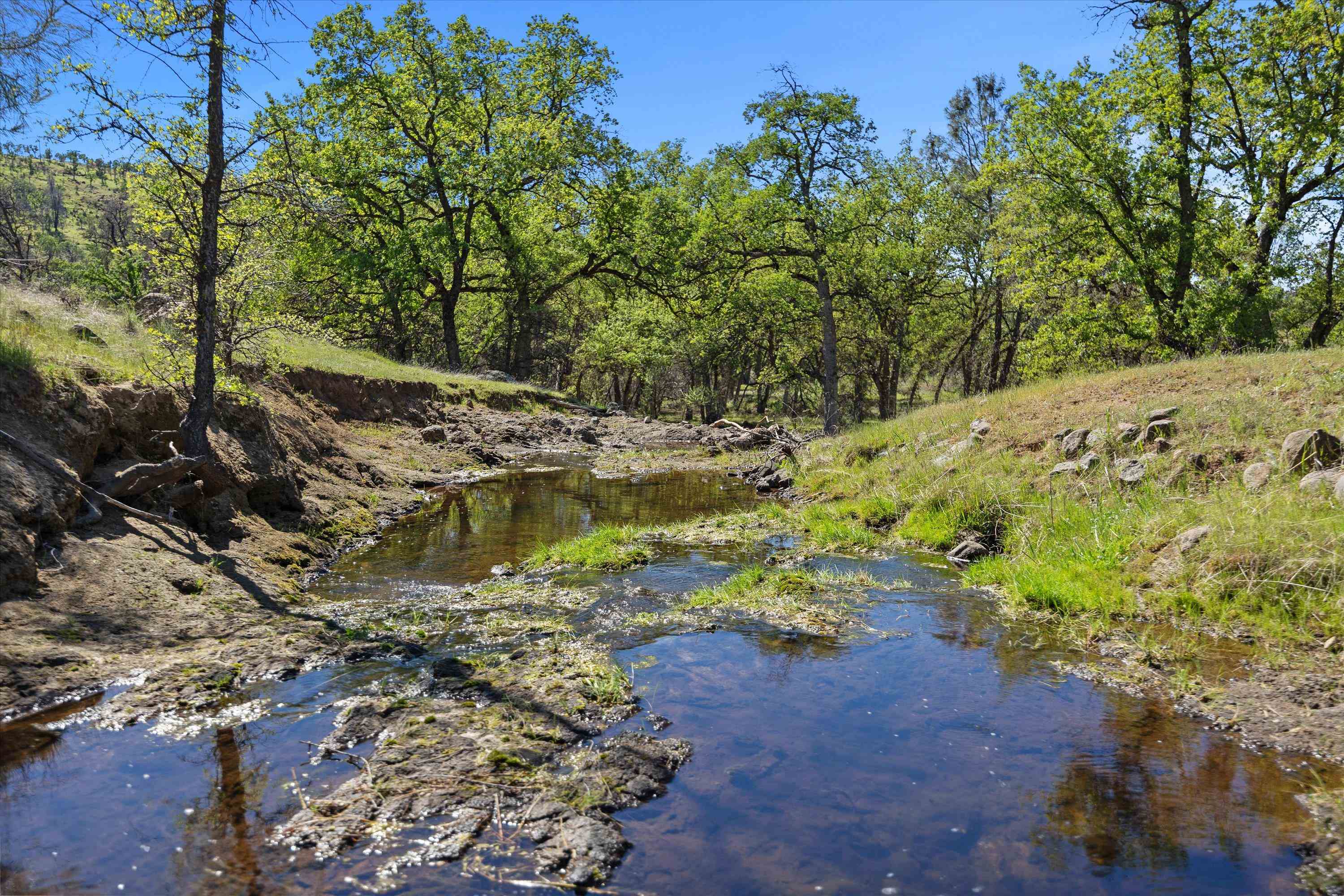 Paynes Creek, California, 96075, United States, 3 Bedrooms Bedrooms, ,2 BathroomsBathrooms,Residential,Active,2031781