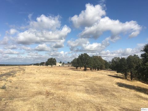 Photo of 19539 Sweet Brier Place, Cottonwood, CA 96022 (MLS # 20250138)