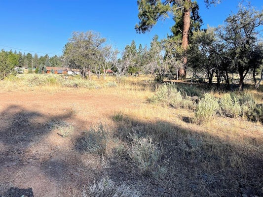 687-305 JUNIPER WAY, SUSANVILLE, CA 96130 - Image 8aabe7f05880a3bd2f98709ab4b9ec0a/672547833