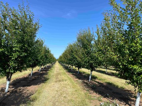 Photo of Volcano Way #Hogsback Road, Red Bluff, CA 96080 (MLS # 20250386)