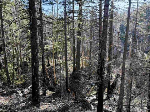 Photo of Gold Run Road, Susanville, CA 96130 (MLS # 20260434)