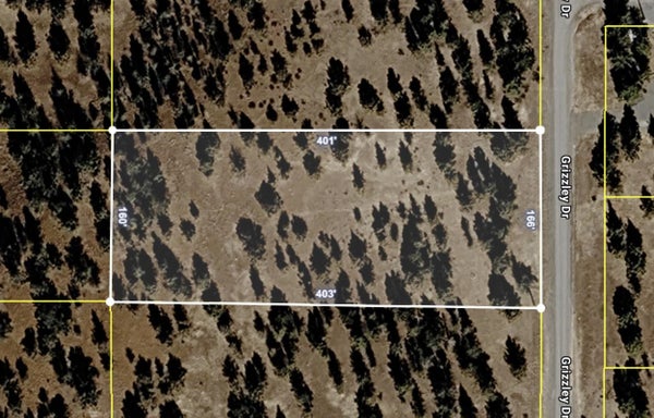 GRIZZLEY DR, ALTURAS, CA 96101 - Image b22fabc2fcc43dd7dcafc83e9b5714fc/2556735883