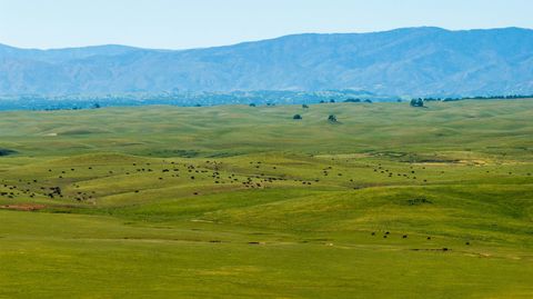 Photo of Rancho Tehama Rd, Red Bluff, CA 96021 (MLS # 20260365)