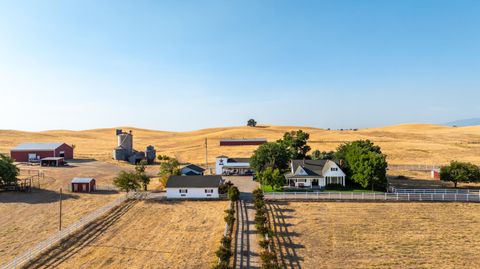 Photo of 17775 Long Hollow Road, Corning, CA 96021 (MLS # 20250697)