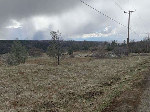 Photo of 33413 Cessna Avenue, Paynes Creek, CA 96075 (MLS # 20250725)