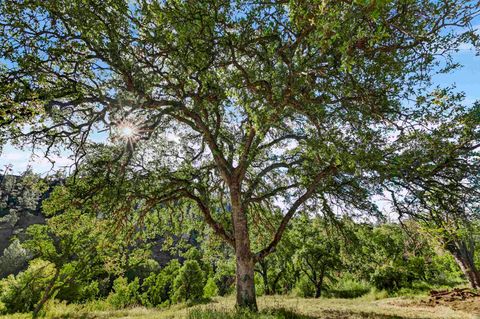 Photo of 5595 Dream Valley Road, Red Bluff, CA 96080 (MLS # 20260629)