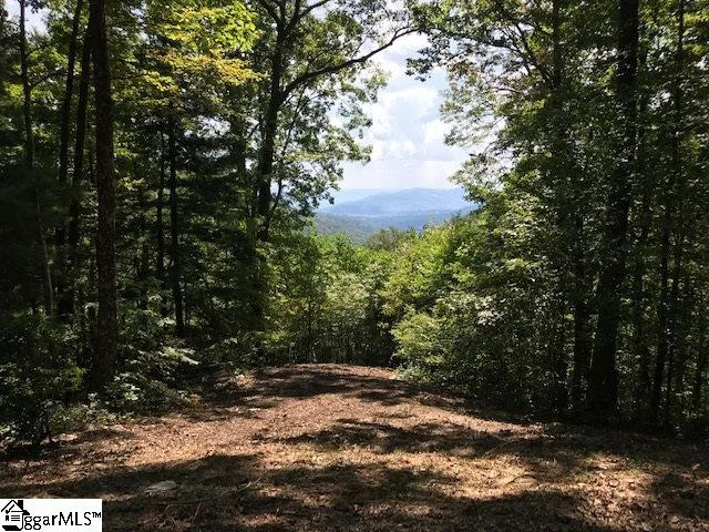 1335 Panther Park Trail