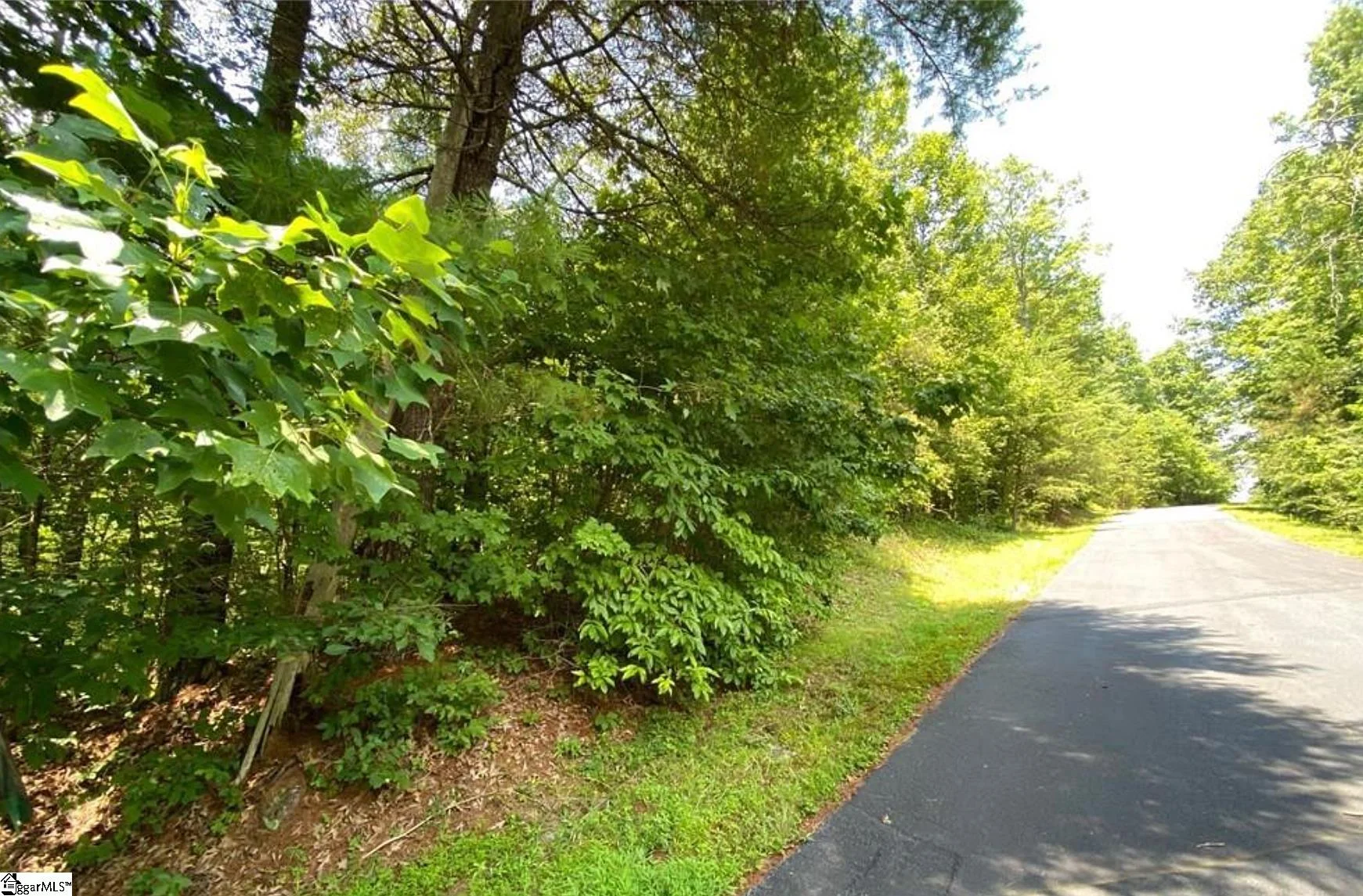 68 Stepp Ridge Court, Hendersonville, NC, 28792