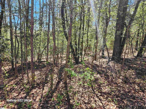 Photo for 1208 Bradford Creek Lane