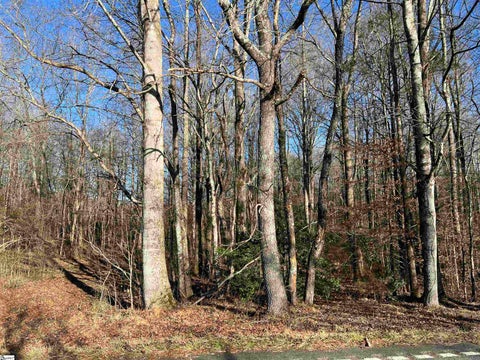 Photo for 000 Hester Store Road Lot 3