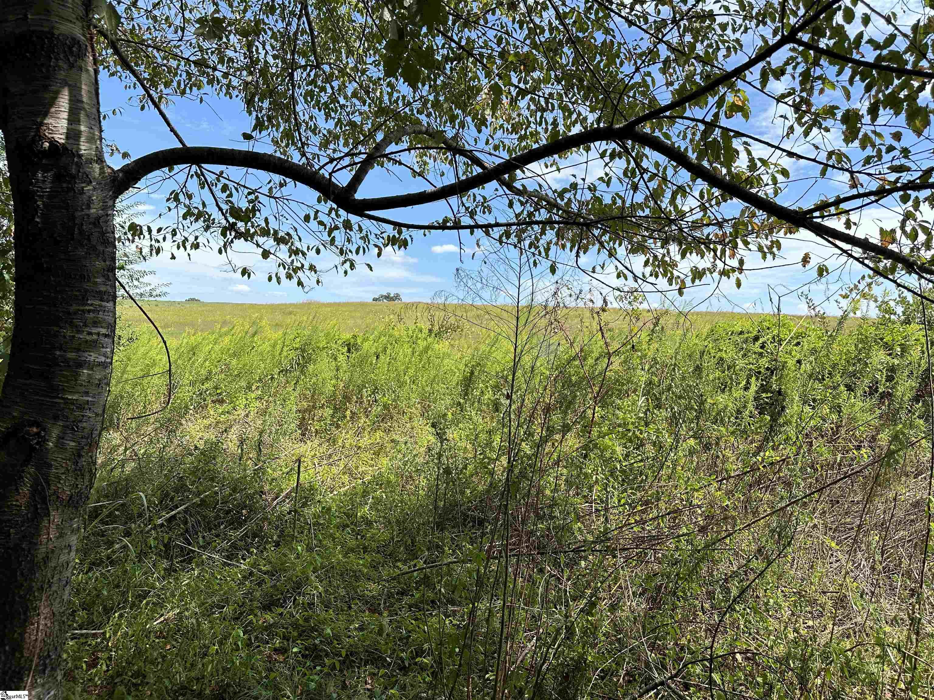 Simpsonville, South Carolina 29681, United States, ,Land,Pending,51495