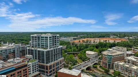 Condominium in Greenville SC 355 Main Street 30.jpg