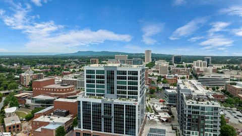 Condominium in Greenville SC 355 Main Street 28.jpg