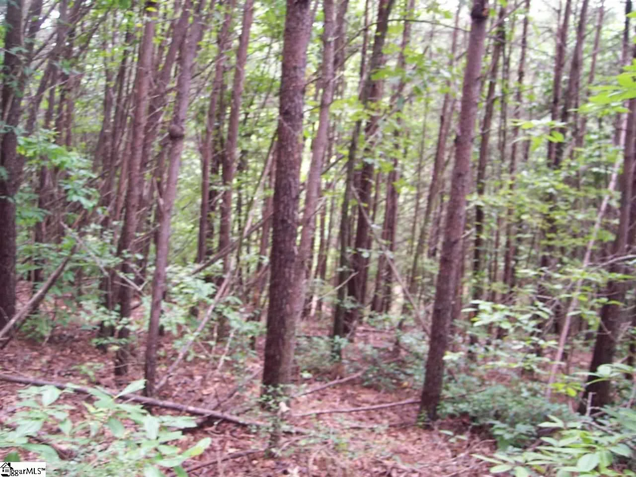 343 Gauley Falls Road Unit Lot 87 Gauley Falls