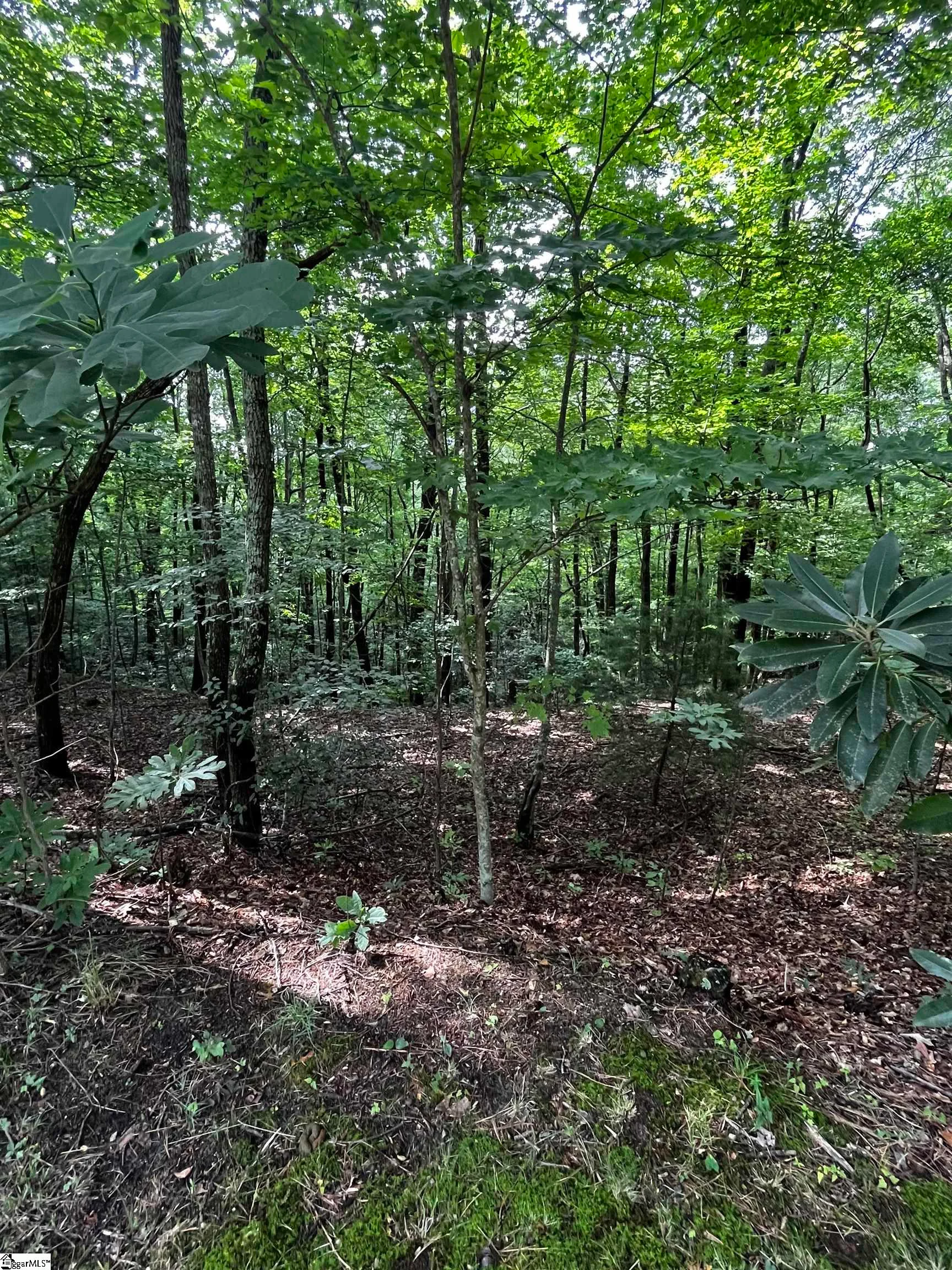 000 Cliff Ridge Drive Unit Lot 253
